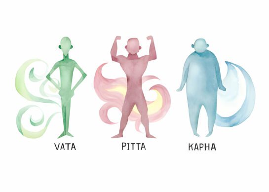 Understanding the Three Doshas: A Key to Unlocking Your Body’s Constitution in Ayurveda